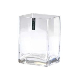 Glass Tank Vase