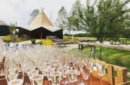 Tipi wedding at Winkworth Farm with Reserva champagne flutes